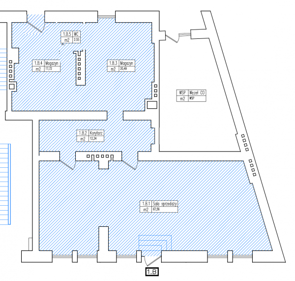 Rzut lokalu 1B